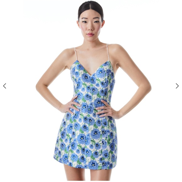 Alice + Olivia TAYLA LANTERN MINI DRESS - Picture 1 of 16
